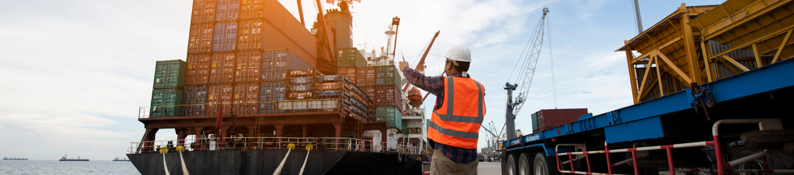 Adobe Express - file (51)